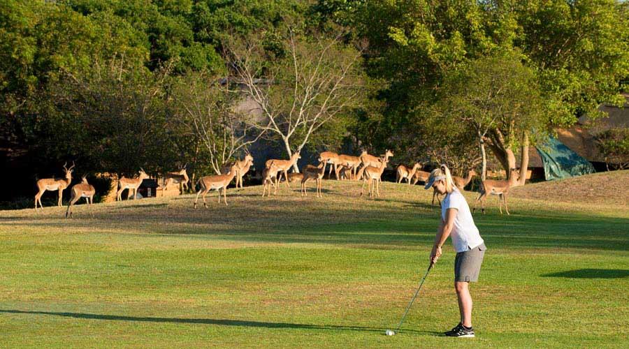 Kruger Park Lodge Hazyview Esterno foto